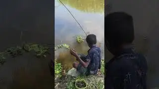 Unbelievable Hand Fishing! 🐟 Catching Big Fish in the Muddy Lake!