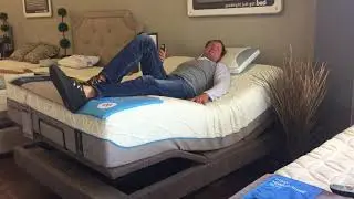 Bed'r Mattress Oak Ridge