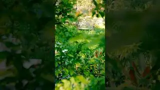 South Dartmouth&rsquo;s  HIDDEN Garden 🪴 #garden #marealestate #massachusetts
