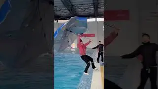 He Took the Funny Wind Challenge&hellip; Ended Up in Water
