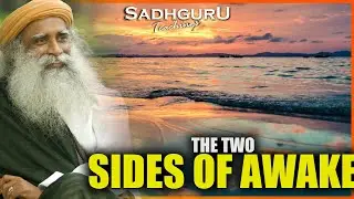 The Subtle Difference Between Alertness and Awareness , SADHGURU TEACHINGS