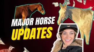 We Need to Talk About Sway & Betty… And This Mystery Horse