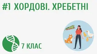 Хордові. Хребетні #1