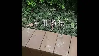 Effective way to  keep cats away your yard | anti cat spikes