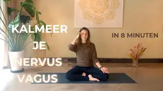 Kalmeer je nervus vagus in 8 minuten