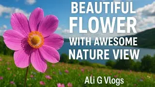 Beautiful Flower with Awesome Nature View | Relaxing Denmark Scenery | Ali G Vlogs&rdquo;