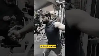 Chest fly #animal #animals #trending #song #video #viral #ranbirkapoor #bobbydeol #reels #shortvideo