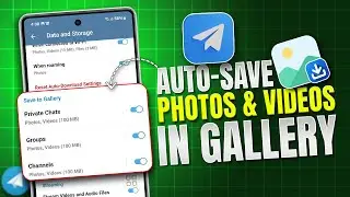 How to Automatically Save Telegram Photos & Videos to Your Gallery