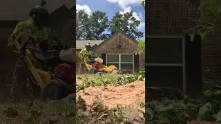 13 HP Honda stump grinder I powertek stump grinder I Against a Massive stump I stump grinding 4