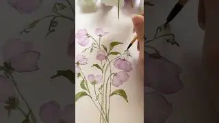 Little Sweet Peas 💜 #watercolor #painting #watercolorflowers #art #水彩