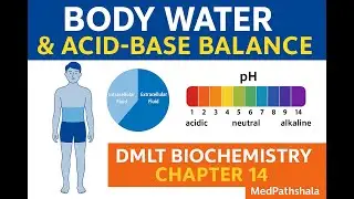 Body Water & Acid-Base Balance Explained | DMLT Biochemistry Chapter 14 | MedPathshala
