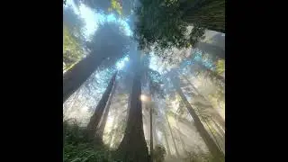 (free) emoplugg + kiryano + 4am type beat 