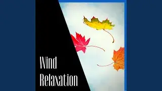 Wind Relaxation, White Noise