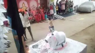 raut nacha village binouri fingeshwar