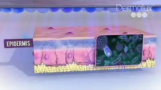 How LED Phototherapy Works