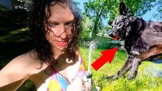 Ep. 63: I'm Literally Just Playing In The Sprinkler With My Dog