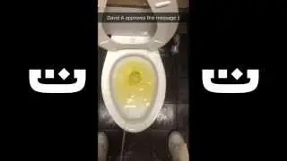 SnapChat Takeover by Tyler Lemco | 1DAFUL