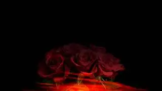 Desert rose (Karaoke/letra )