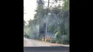 Delivering ⛑️ in Boulder Creek Santa Cruz California 🇺🇸