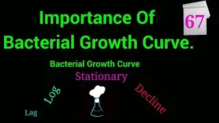 Bacterial Growth Curve: Importance of the Bacterial Growth Curve Explained @EnteMicrobialWorld #yt