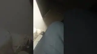 sexcom