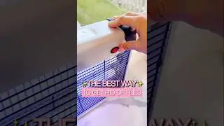 Stop Chasing Flies! 🦟💃 My Ultimate Electric Fly Trap Hack for Busy Moms & Homes!