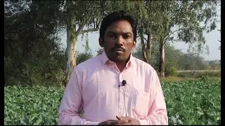 Reason of our existence | Rohingya langauge