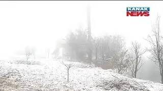 Eye-Soothing View As Snow Blanket Covers Hilly Areas Of J&K | Receives Snow Fall As Mercury Drops
