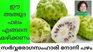നോനി പഴം: മാരക രോഗങ്ങൾ മുതൽ സൗന്ദര്യ പ്രശ്നങ്ങൾ വരെ എല്ലാം മാറാൻ | Dr Lizy K Vaidian