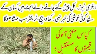 Budget 2022-23 Pakistan, Agriculture News fertilizer,tractor and seed prices will shoot in next year