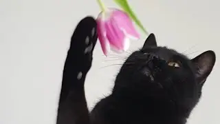 Nimm dir Zeit zum Freundlich sein, das ist das Tor zum Glück. 💝