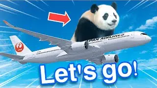 От аэропорта Ханэда до гигантской панды 🐼 Рай! Путешествие по единственному в Японии саду панд