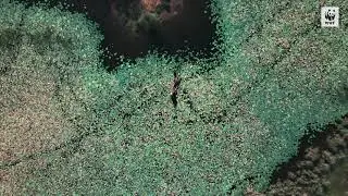 World Wetlands Day 2025