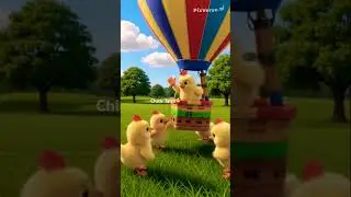 Adventure day 🐥a cute chick going on a adventure on a hot air balloon #adorablechicks #adventure