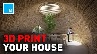 These Homes Are 3D-PRINTED | [FUTURE BLINK]