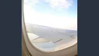 Soaring Through The Sky