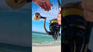 SHARK while SURF FISHING! Full video on my channel! #fishing #shark #sharkfishing #fishingdaily