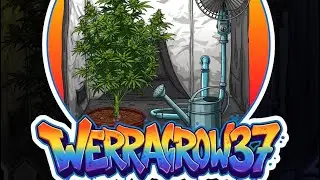 Gartenzeit von WerraGrow