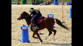 Mounted Games - Chiara e Giulio - Under 15 - Trofeo Regionale Lazio - Circolo ippico La Macchiarella