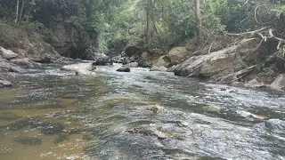 pesca de dorada y picuda