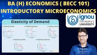 Price Elasticity of Demand | becc 101