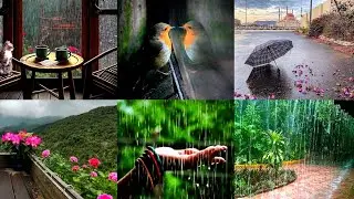 Rain Images/ Rain Images Beautiful/ Rain Sounds/ Rain Sound For Sleeping/ Rain Beautiful Photos