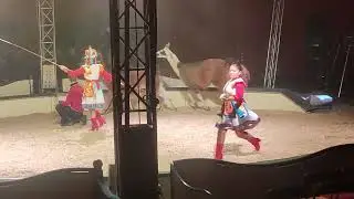 Le Lama Du Cirque Franco Italien 2025