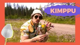 Kes&auml;: Kimppu