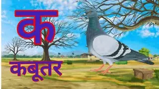 Ka Se Kabootar, Kha Se Khargosh | Learn Hindi Alphabet for Kids.Ka Se Kabootar, Kha Se Khargosh |