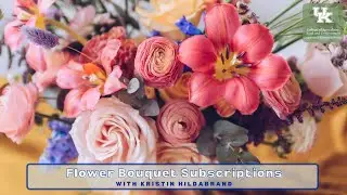 Flower Bouquet Subscriptions