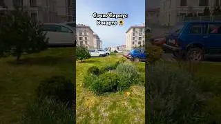 Каких только не увидишь цветочков🌻 в #сочи #сириус #веснасочи #отельгаммасириус #кубань #russia
