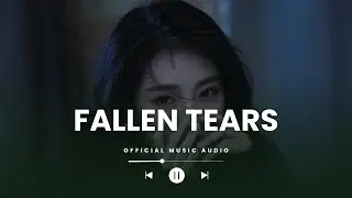 You Didn't Hurt Me All at Once - Fallen Tears (Official Audio)