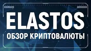 Elastos обзор криптовалюты