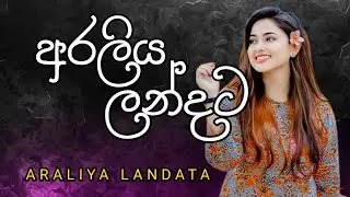 Araliya landata | අරලිය ලන්දට | Moonbeat